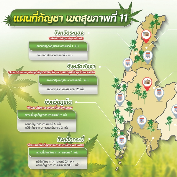 แผนที่กัญชา